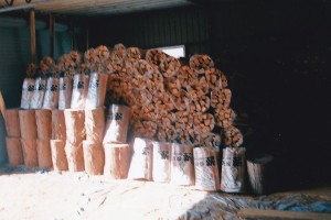 IMG23-2