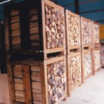 IMG23-3
