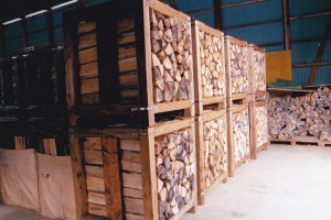 IMG23-3