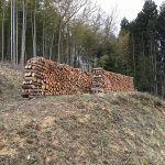 IMG_0689