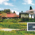s-IMG_0005