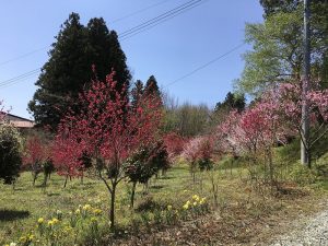 s-IMG_0392