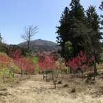 s-IMG_0411