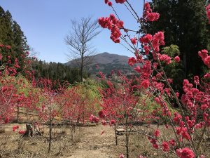 s-IMG_0412