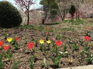 s-IMG_0421